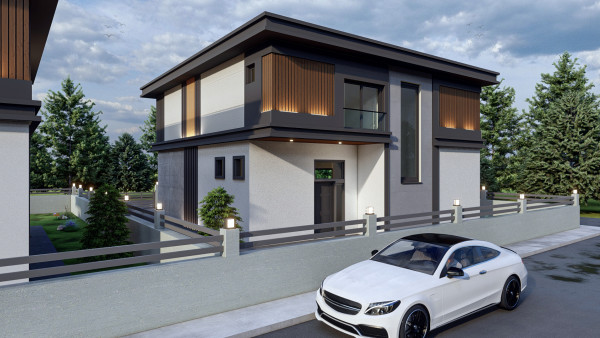 GESİ BEGONİA